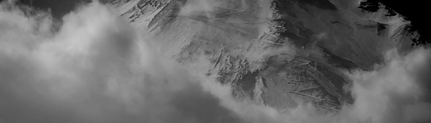 BEAST オールインワン美容液 BEAST オールインワン美容液