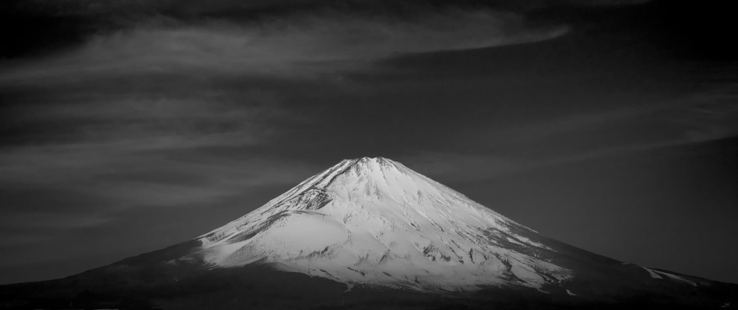 BEAST オールインワン美容液 100g サンダルウッドの香り BEAST オールインワン美容液 100g サンダルウッドの香り