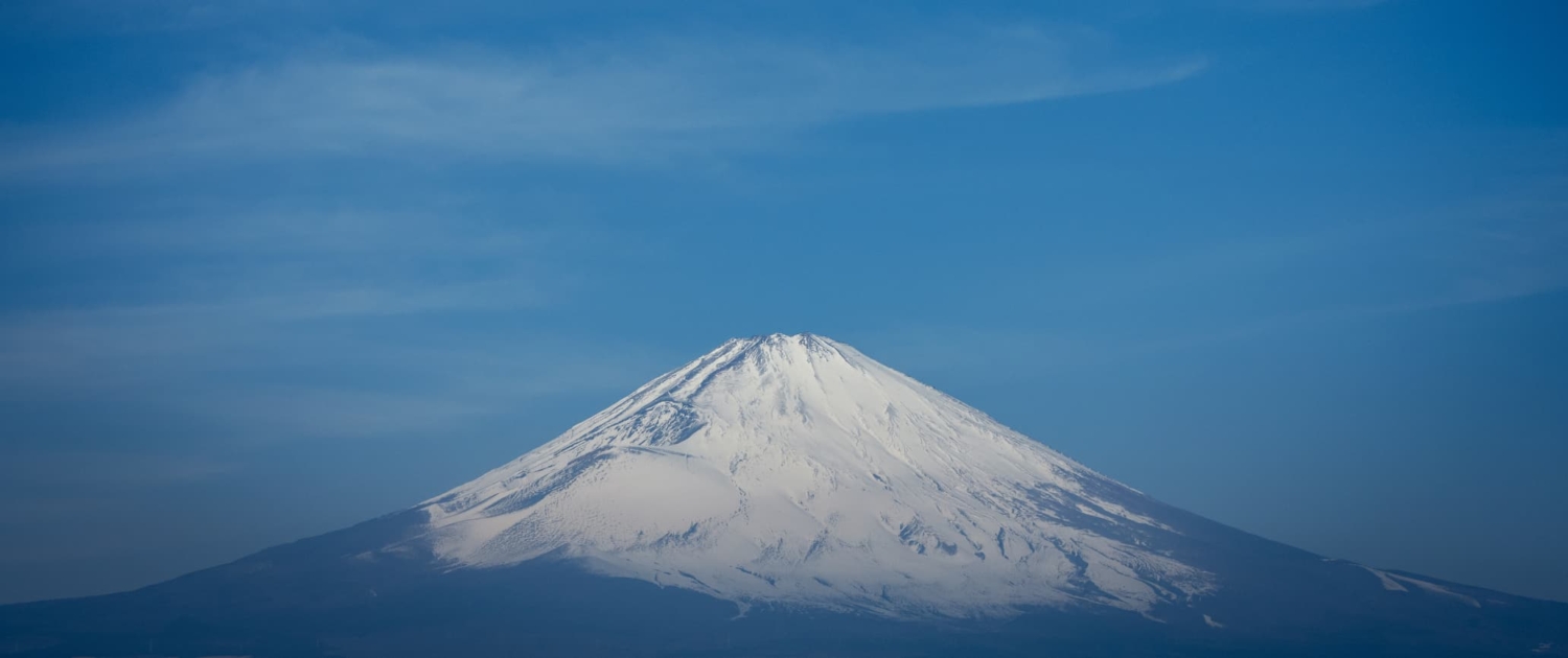 BEAST オールインワン美容液 100g サンダルウッドの香り BEAST オールインワン美容液 100g サンダルウッドの香り