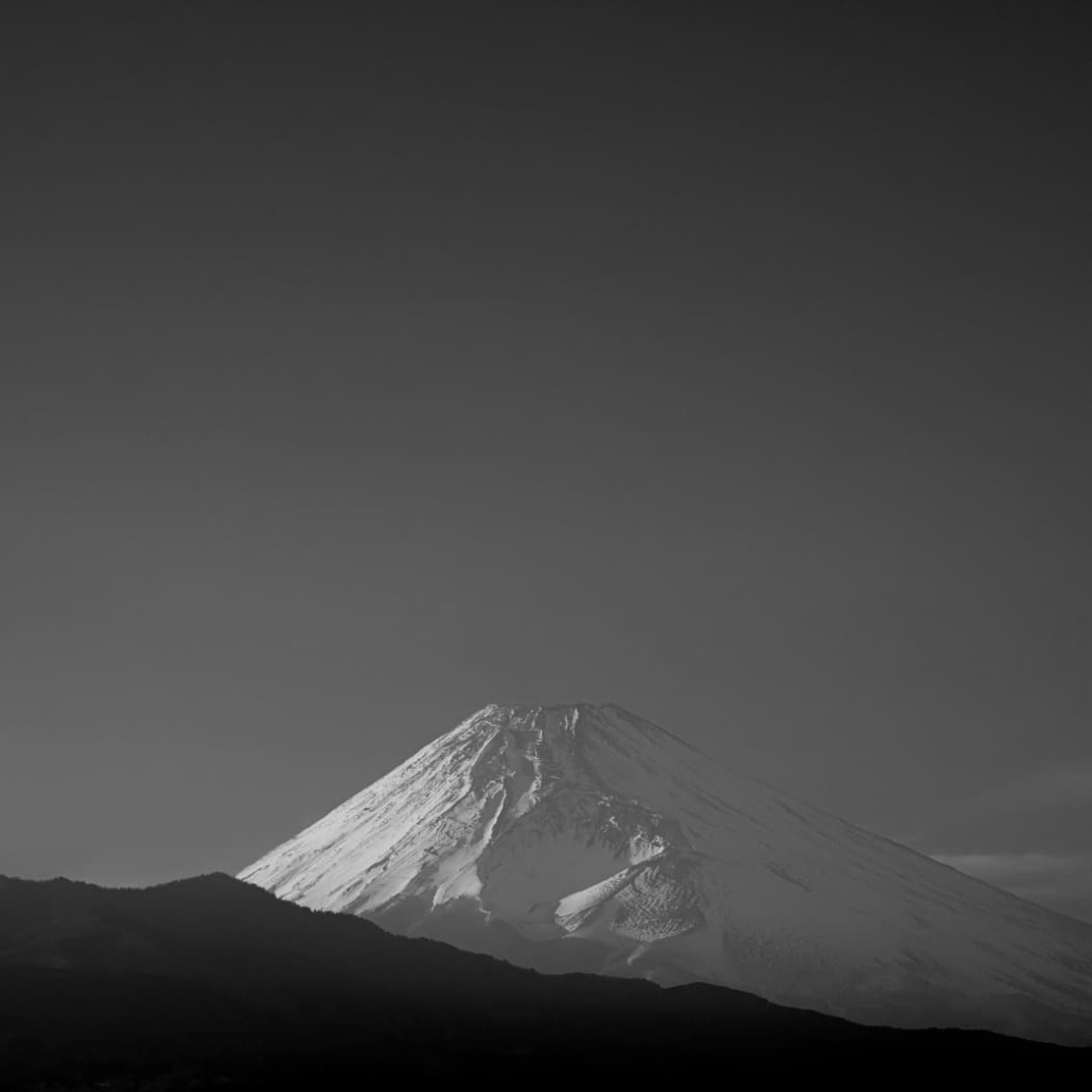 BEAST オールインワン美容液 100g サンダルウッドの香り BEAST オールインワン美容液 100g サンダルウッドの香り