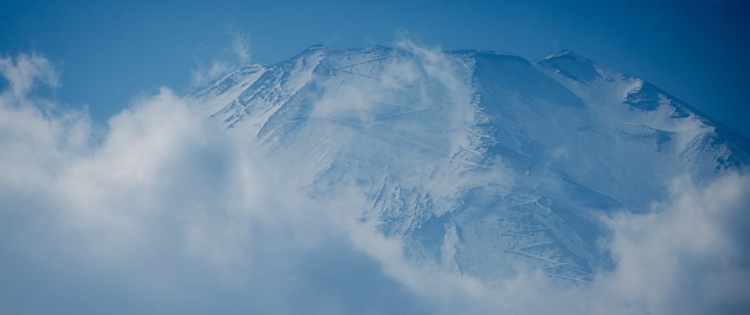 BEAST オールインワン美容液 100g サンダルウッドの香り BEAST オールインワン美容液 100g サンダルウッドの香り