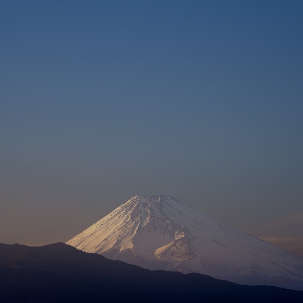 BEAST オールインワン美容液 100g サンダルウッドの香り BEAST オールインワン美容液 100g サンダルウッドの香り