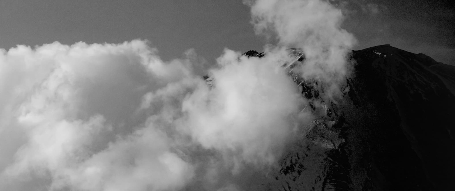 BEAST オールインワン美容液 100g サンダルウッドの香り BEAST オールインワン美容液 100g サンダルウッドの香り