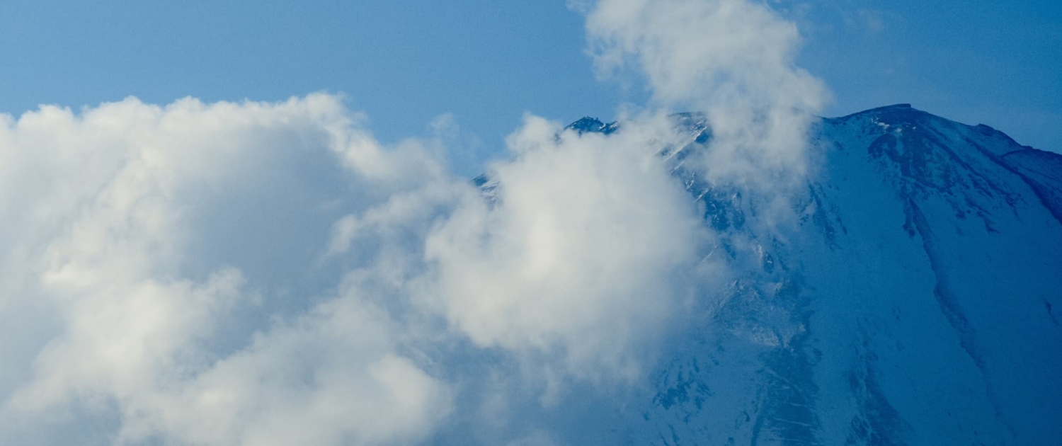 BEAST オールインワン美容液 100g サンダルウッドの香り BEAST オールインワン美容液 100g サンダルウッドの香り