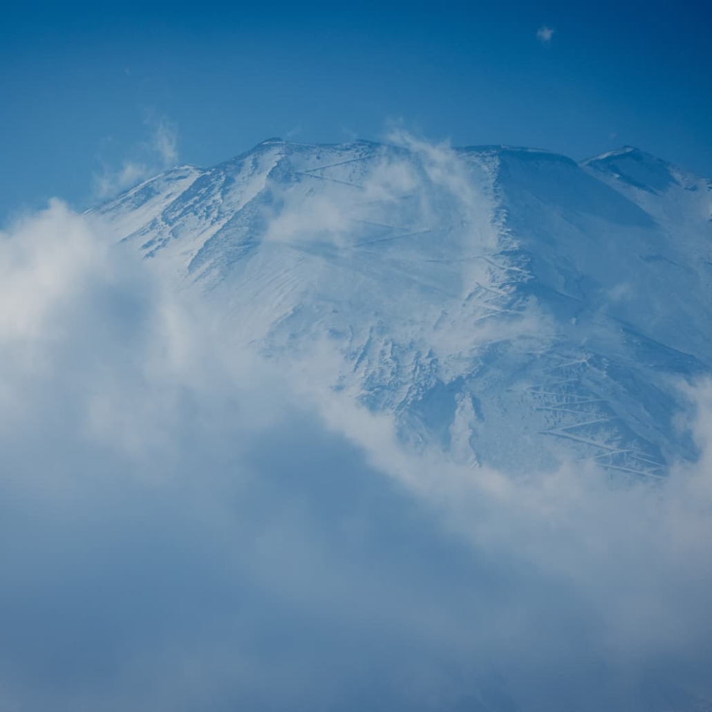 BEAST オールインワン美容液 100g サンダルウッドの香り BEAST オールインワン美容液 100g サンダルウッドの香り