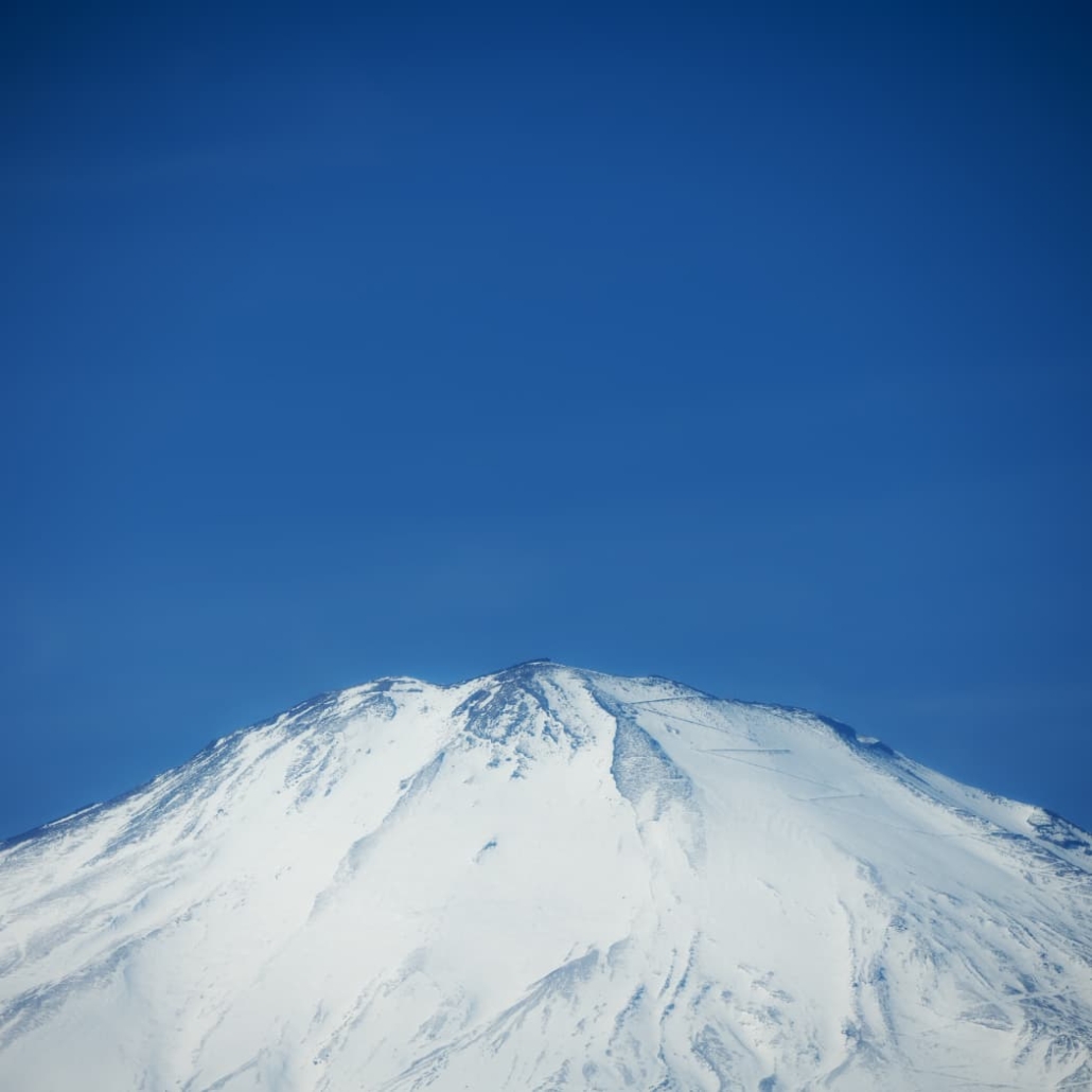 BEAST オールインワン美容液 100g サンダルウッドの香り BEAST オールインワン美容液 100g サンダルウッドの香り