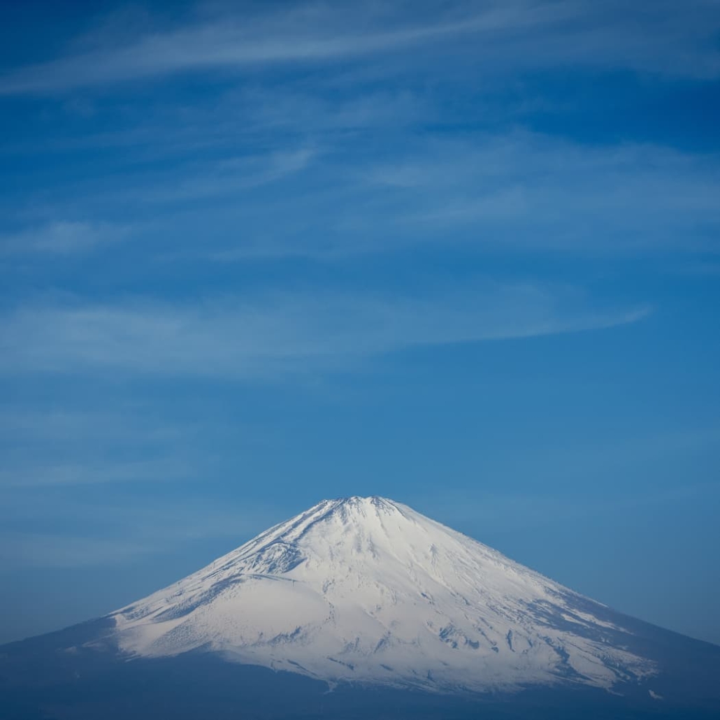 BEAST オールインワン美容液 100g サンダルウッドの香り BEAST オールインワン美容液 100g サンダルウッドの香り