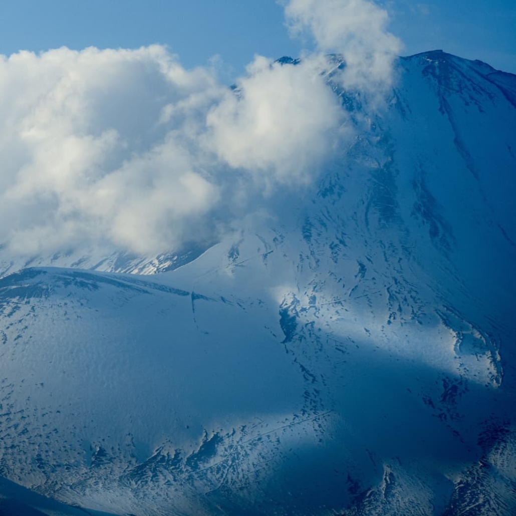 BEAST オールインワン美容液 100g サンダルウッドの香り BEAST オールインワン美容液 100g サンダルウッドの香り